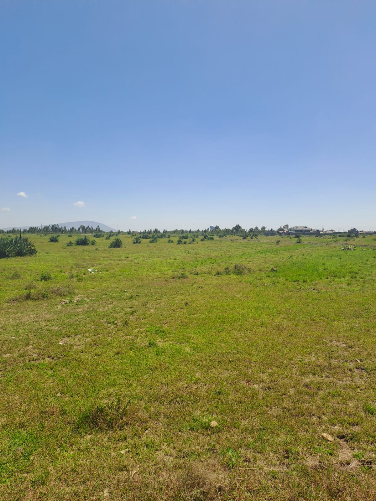 JUJA CREEK ESTATE – 50 by 100 plots for sale – JUJA